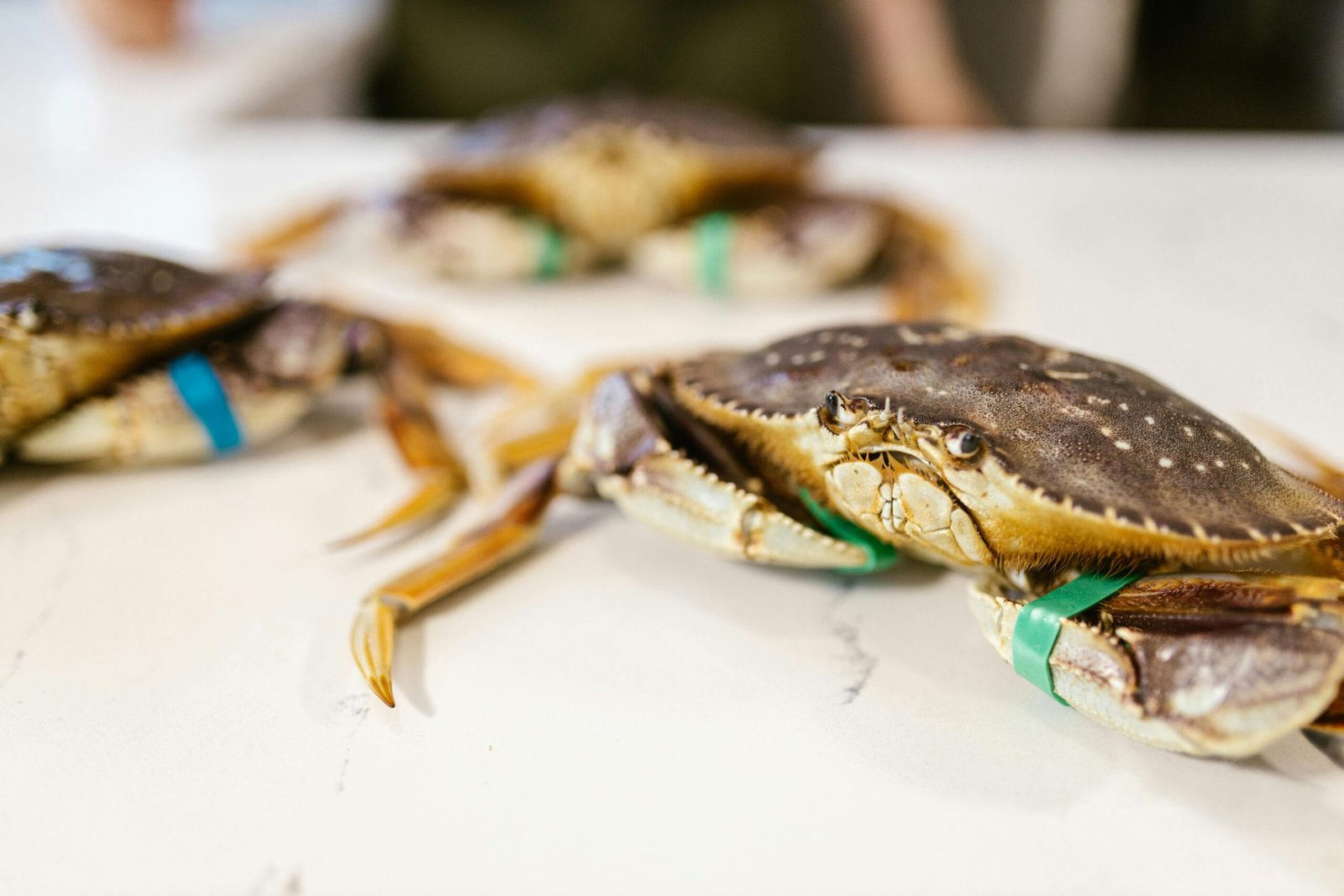 how to cook jonah crab claws garlic butter recipe
